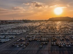 William Alvarez - Supply Chain